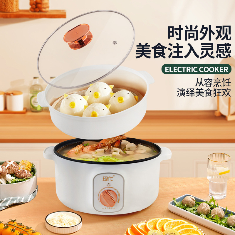 Multifunctional Mini Electric  - đánh giá và giá Kitchen Appliances Cooking