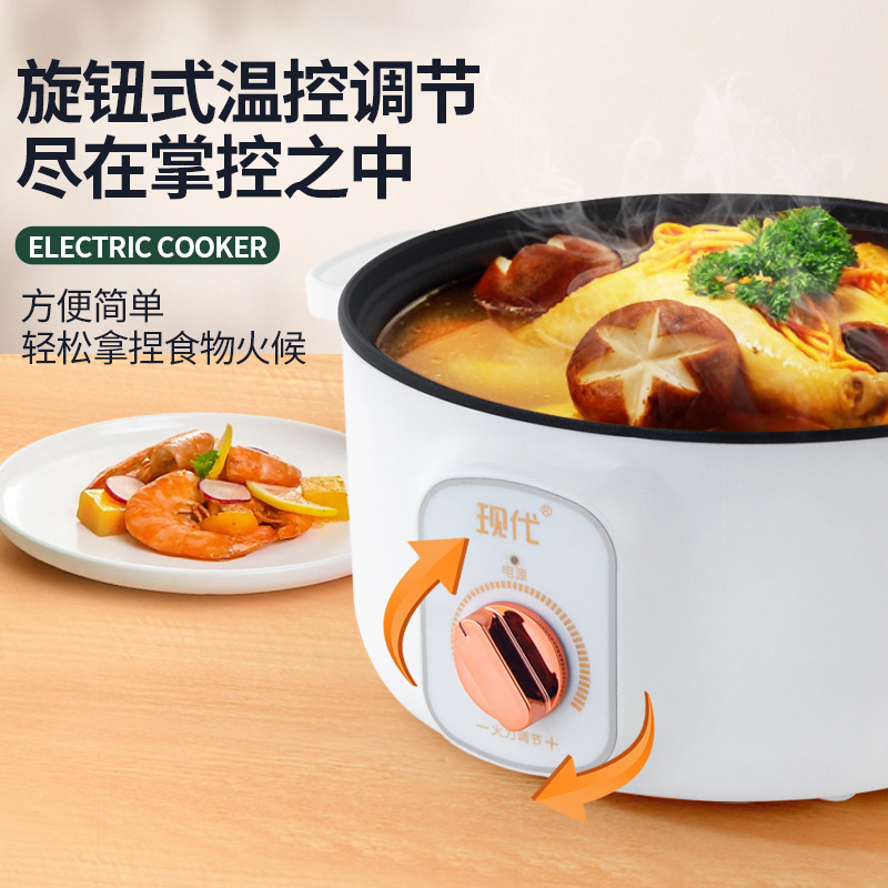 Multifunctional Mini Electric  - đánh giá và giá Kitchen Appliances Cooking